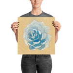White and Blue Watercolor print of painting on wood of an Ice Succulent Poster